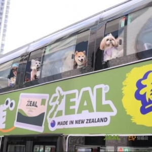 ��Go City �óǡ����о���ͨƱ΢��С�������� �����¼�����������������������