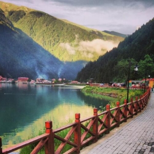 ����Ժ�칫�����ڽ�һ����ǿ�����г��ۺϼ�ܵ�֪ͨ