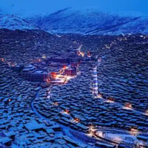 �������ι��ԣ��ض��ؾ�ȫ���أ���8���ط���ȥ���ڰ�����