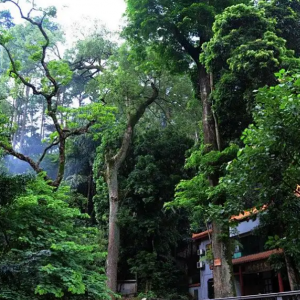 ������αؿ�����4�����������浽����ؼң�