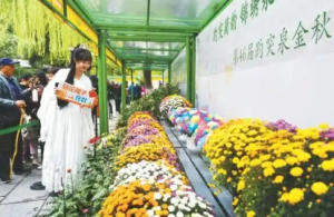 ���й���������Ӱ����Ծ��15�ǡ����� ����������������15ǿ