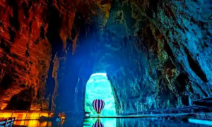 ��������ʤ���¶�̬���ḻ�����������