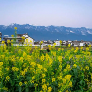 3�´������У�7��Ŀ�ĵأ����پ����������г�������