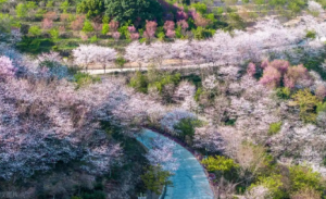 �����Լݣ���6���ط����Լ����������죬��;���Ǻô���