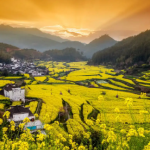 ��������ʤ�ش��̵㣺ʮ������Ŀ�ĵ������ů����