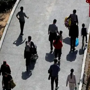 ����Զ������������������ˡ����ſ����Ρ�